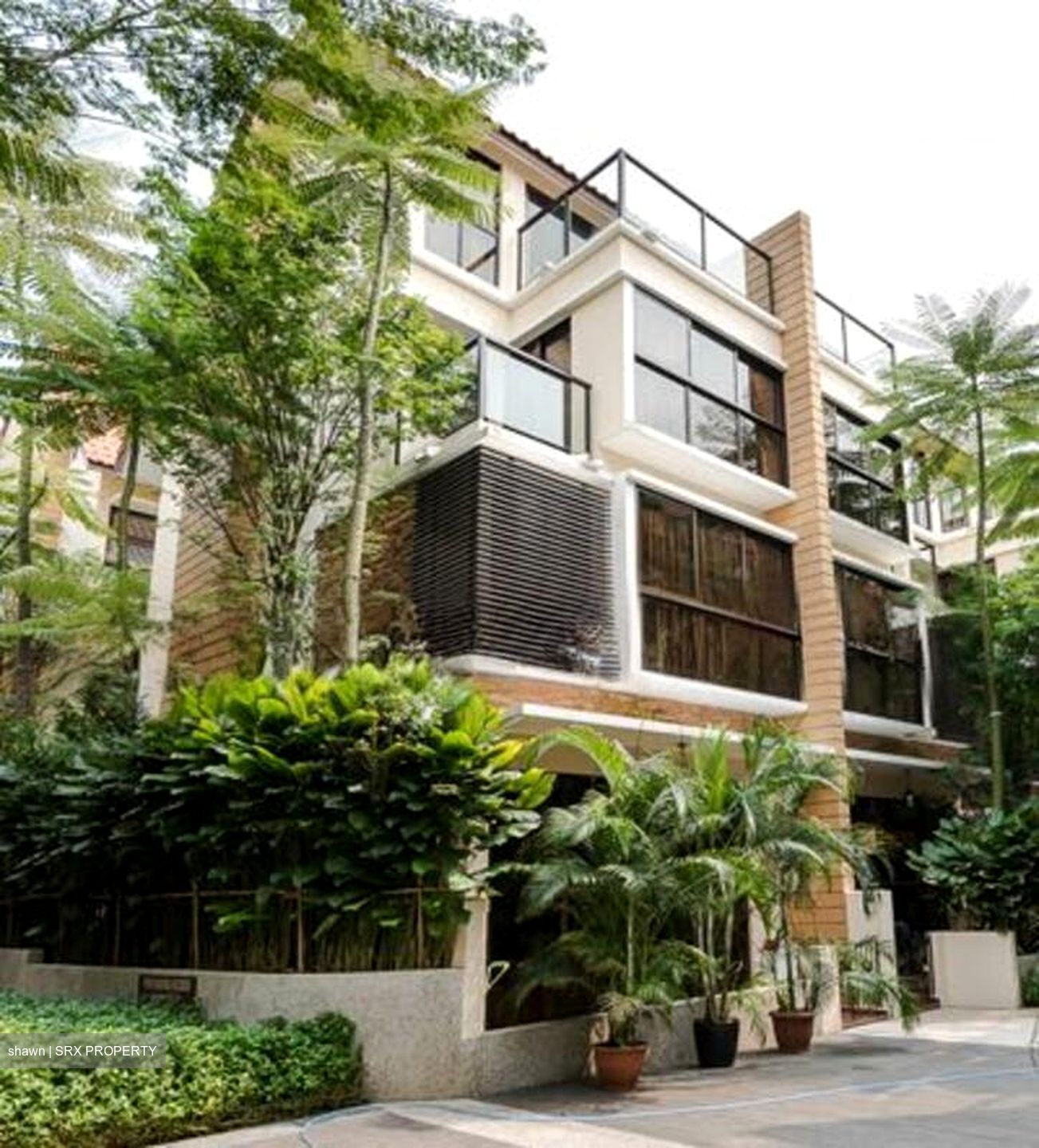 Holland Link (D10), Terrace #503549031